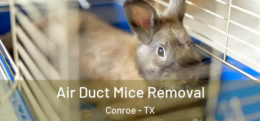 Air Duct Mice Removal Conroe - TX