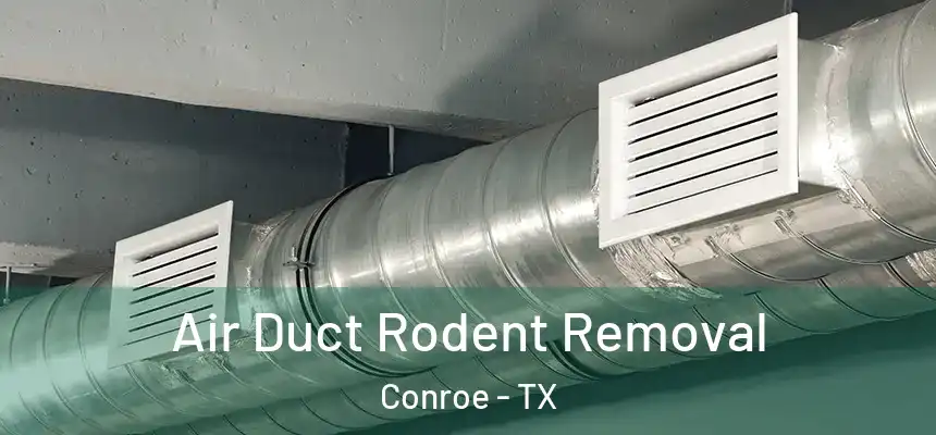  Air Duct Rodent Removal Conroe - TX