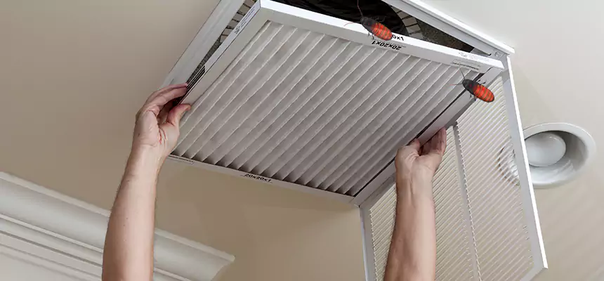Preventive Cockroach-Proofing for Ducts in Conroe