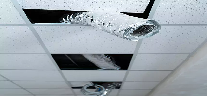 Affordable HVAC Sanitizing After Pest Removal in Conroe