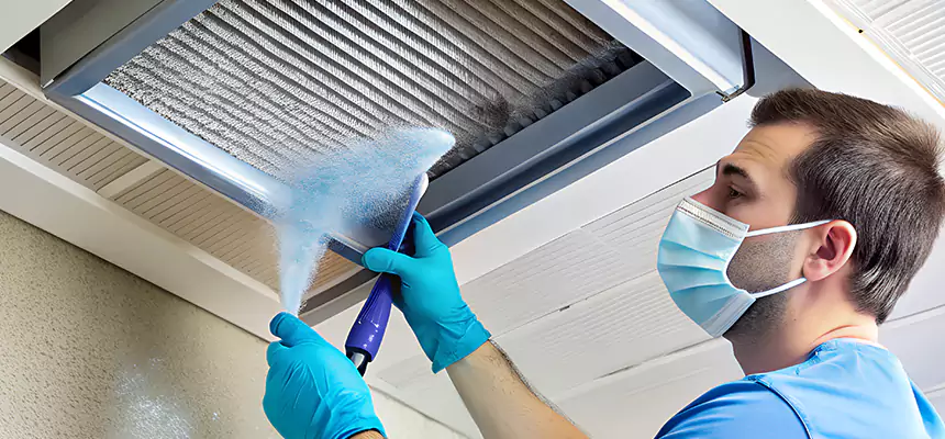 Proactive Dryer Vent & Auxiliary Duct Pollen Cleanup in Conroe, TX