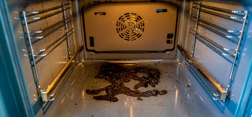 Our Dryer Vent Mold Cleaning Services in Conroe, TX