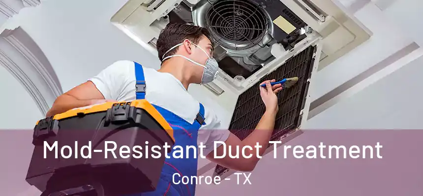Mold-Resistant Duct Treatment Conroe - TX