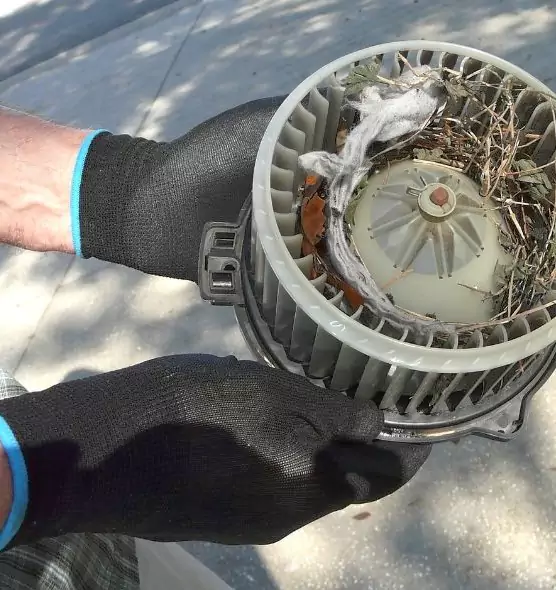 About Air Duct Mice Removal in Conroe, TX