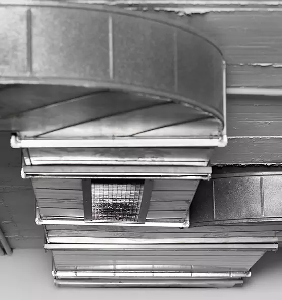 Professional Air Duct Pest Removal in Conroe, TX