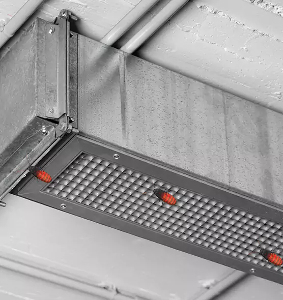 Affordable Insect Removal from Air Ducts in Conroe, TX