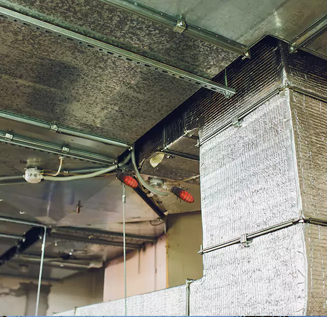 Why Homeowners & Businesses Trust Us Conroe, TX?