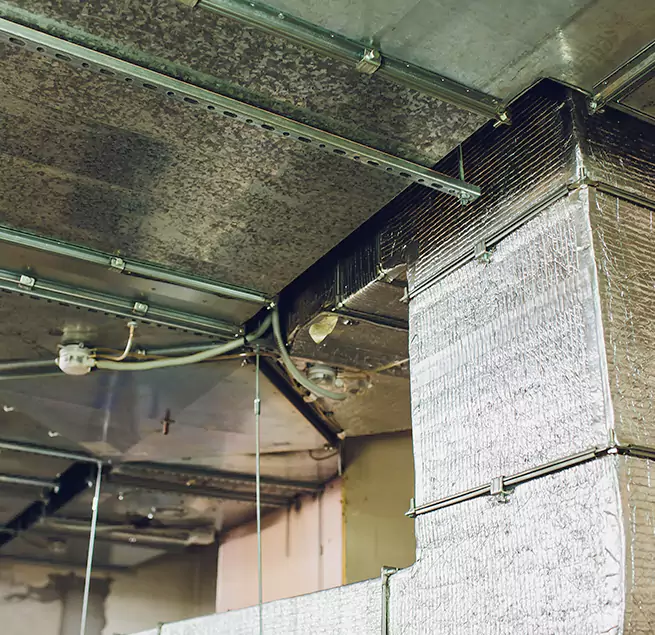 Why Homeowners & Businesses Trust Us in Conroe, TX?